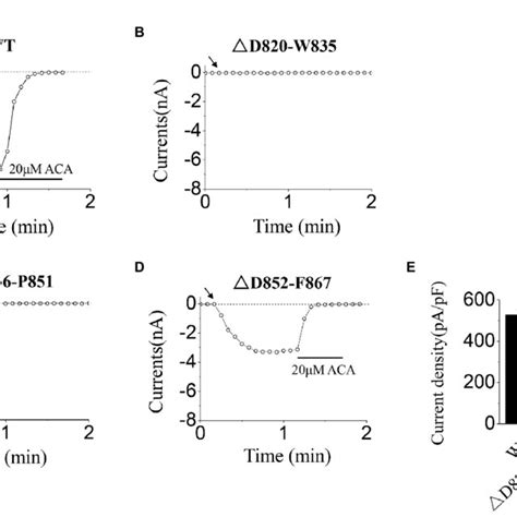 Functional Assay Of Wt Transient Receptor Potential Melastatin 2 Download Scientific Diagram