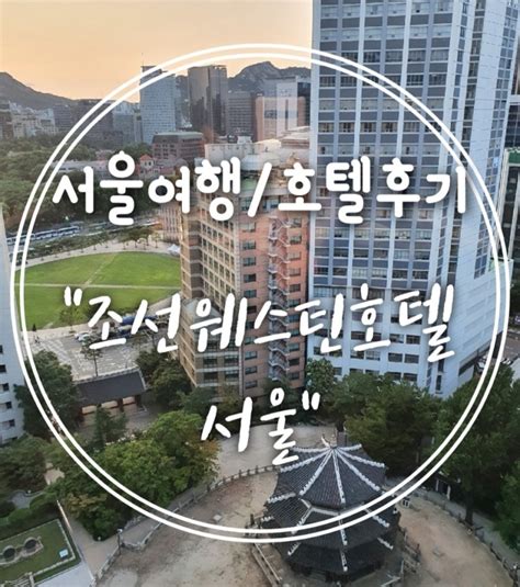 조선웨스틴호텔 서울 이그제큐티브 디럭스룸 솔직 후기 2 수영장 이그제큐티브 클럽 라운지 수박빙수 네이버 블로그