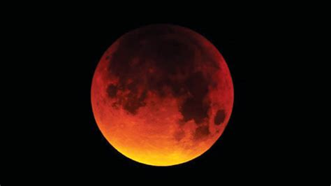 Beaver Bloodmoon Lunar Eclipse On Nov 8 Star Of Mysore