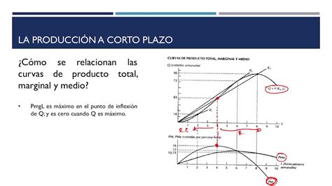 5 Producto Total Medio Y Marginal YouTube