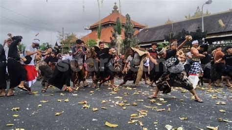 Ritual Perang Ribu Ketupat Di Desa Kapal Memohon Kemakmuran Kepada