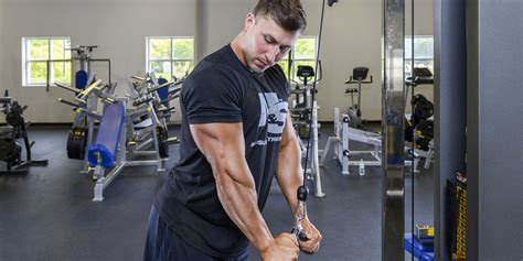 Chest And Triceps Workout Musclepharm Blog Dandk