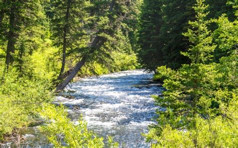 Hyalite Canyon Montana Discovering Montana