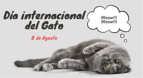 D A Internacional Del Gato Agosto