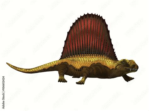 Dimetrodon Reptile Profile - Dimetrodon was a mammal-like sailback ...