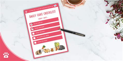 Guinea Pig Care Daily Checklist Pet Care Twinkl Pets