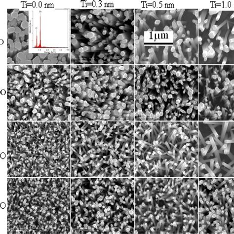 Xrd Patterns Of Zno Nras Grown On A Fto Zno Ti And B Fto Zno Au