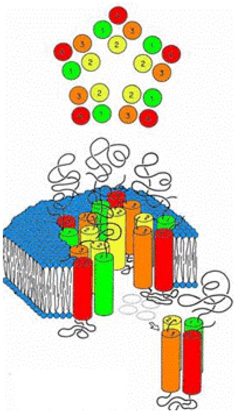 Pharmaceuticals | Special Issue : Ion Channels as Therapeutic Targets for Pain