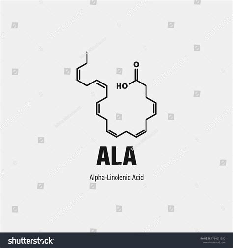 Structure Alphalinolenic Acid Ala Stock Vector (Royalty Free) 1784611550