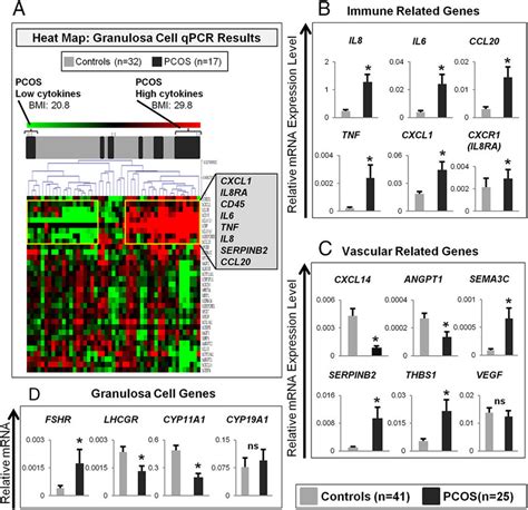 A Heat Map Of Relative Qpcr Results B D Relative Mrna Expression Of