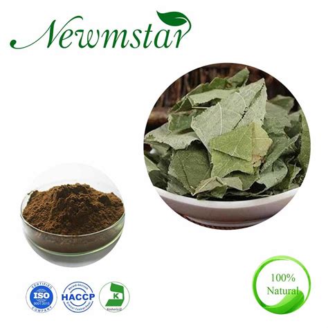 Natural Herbal Plants Epimedium Extract Horny Goat Weed Extract