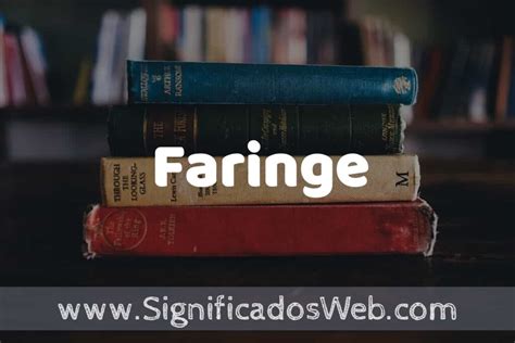 Concepto de Faringe Que es Definición Significado y EJEMPLOS