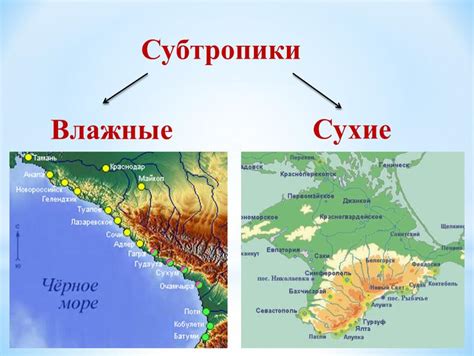 Презентация "Зона субтропиков"