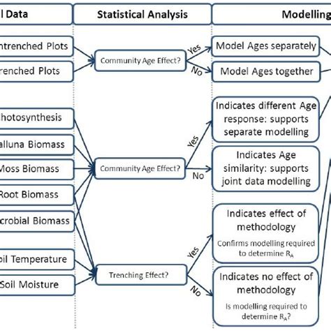 Schematic Representation Of The Data Analysis Workflow Download