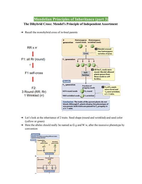 Mendelian Principles Of Inheritance Part Lecture Of Dr Vesseys