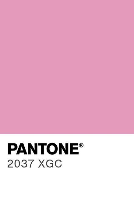 Pantone® Europe Pantone® 2037 Xgc Find A Pantone Color Quick