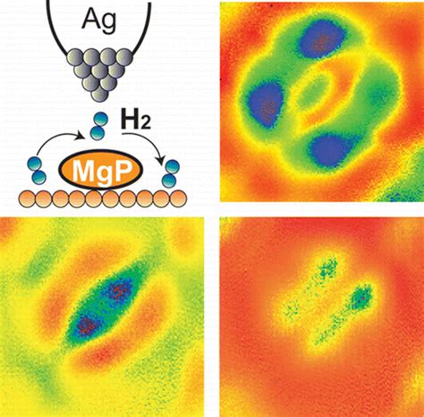 Single Molecule Rotational And Vibrational Spectroscopy And Microscopy