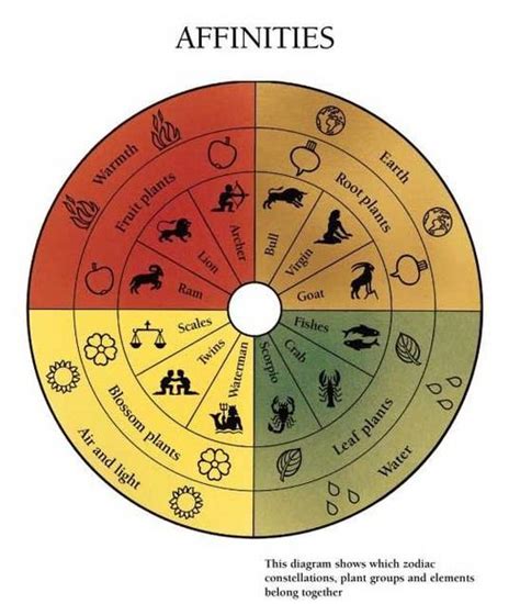 Biodynamic Gardening Simplified Part Two Moon Phase And Moon Path In