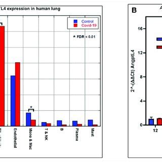 Upregulation Of Angiopoietin Like Angptl Gene Expression In Human