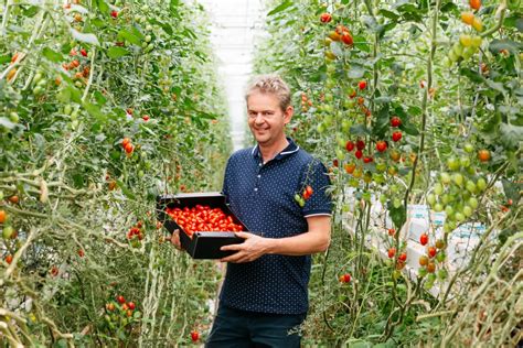 Onze Producten Crisp Online Supermarkt