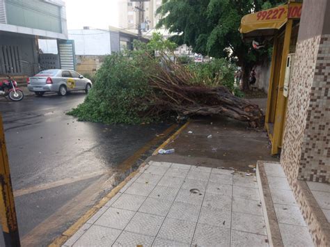 Chuva em Araguaína derruba árvores e deixa moradores sem energia nesta