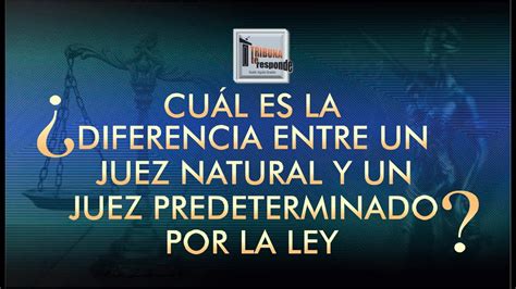 Juez Natural Y Juez Predeterminado Por La Ley TTR 244 YouTube