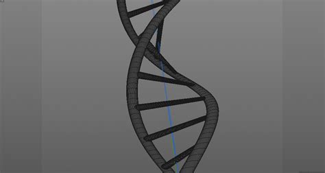 3d Human Dna