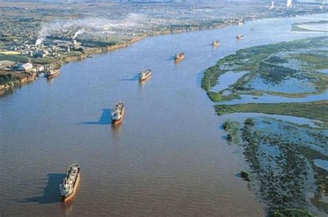 Argentina Sangra Por Las Barrancas Del Río Paraná La Marea