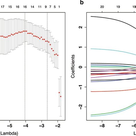 The Radiomic Feature Selection Using The Least Absolute Shrinkage And Download Scientific