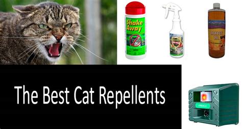 Outdoor Cat Repellent Homemade - Homemade Ftempo