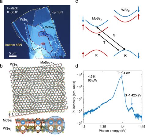 Interlayer Excitons In An Hbn Encapsulated H Stacked Mose2wse2