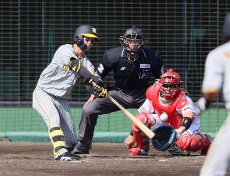 【阪神】中野拓夢、3打数3安打と大暴れ「チーム打撃をしながら首位打者に向けて」昨季最多安打 プロ野球写真ニュース 日刊スポーツ