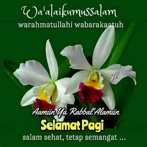 Imej Waalaikumsalam Dan Selamat Pagi Assalamu Alaikum Selamat Pagi