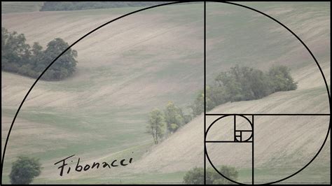 fibonacci gnomon production