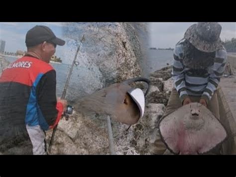 Catching Stingray II Saltwater Fishing At The Shore II How To Catch