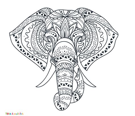 Coloriage L Phant Un Dessin Imprimer De T Te Modeler