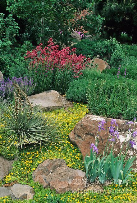 In The Southwest Andn Rocky Mountain Areas Water Wise Landscape