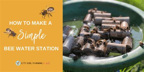 How To Make A Simple Bee Water Station Fb City Girl Farming