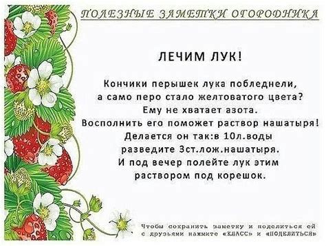 Pin by соломеина Ирина on сад+огород | Vegetable garden design, Summer ...