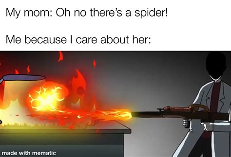 Burn the brown recluses, nobody is getting hurt in this house | Scrolller