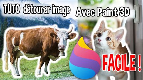 Tuto Comment D Tourer Une Image Avec Paint D Youtube