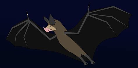 Big Carnivorus Bat by WildandNatureFan on DeviantArt