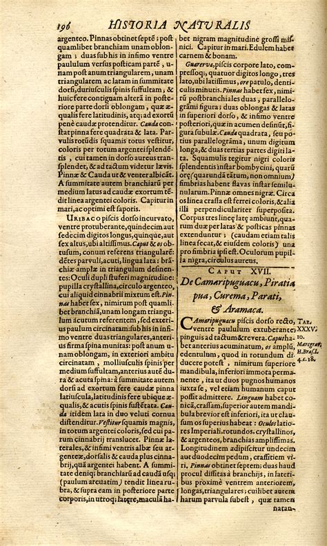 Jonston Jan Historiae Naturalis De Piscibus Et Cetis Libri V