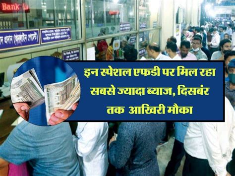 Bank Fd इन स्पेशल एफडी पर मिल रहा सबसे ज्यादा ब्याज दिसबंर तक निवेश