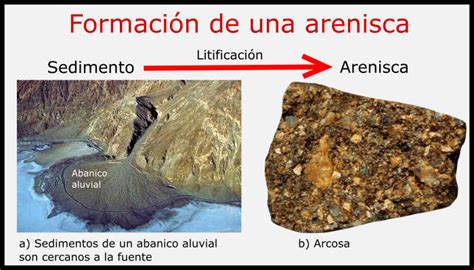 Roca Arcosa