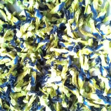 Jual Bunga Telang Kering Kembang Telang Butterfly Pea Flower