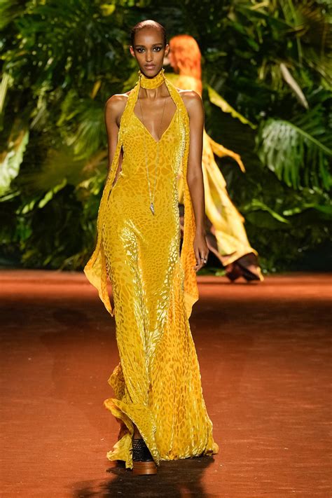 Roberto Cavalli Spring Summer 2024 Ready To Wear