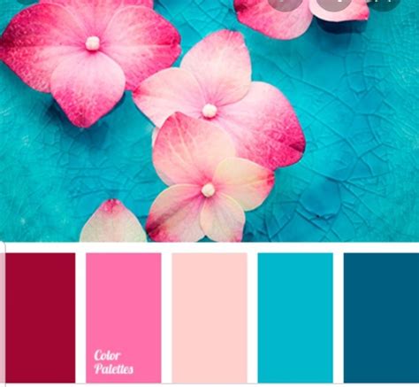 Pink Color Palette 70 Photo