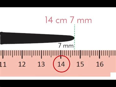 Microscopio Uso Y Manejo Para Una Educación Científica Avanzada