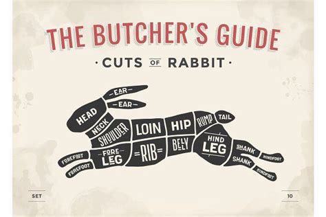 The Butcher S Guide Cuts Of Rabbit Vintage Style Illustration On Old